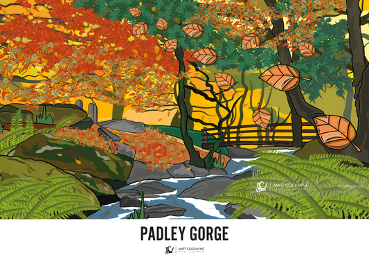 PADLEY GORGE - Peak District Prints - Wall Art - Poster - Print - Canvas - Illustration